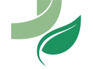 طراحی لوگوی داروخانه دکتر غزاله جاویدی آزانس دیجیتال مارکتینگ رواج